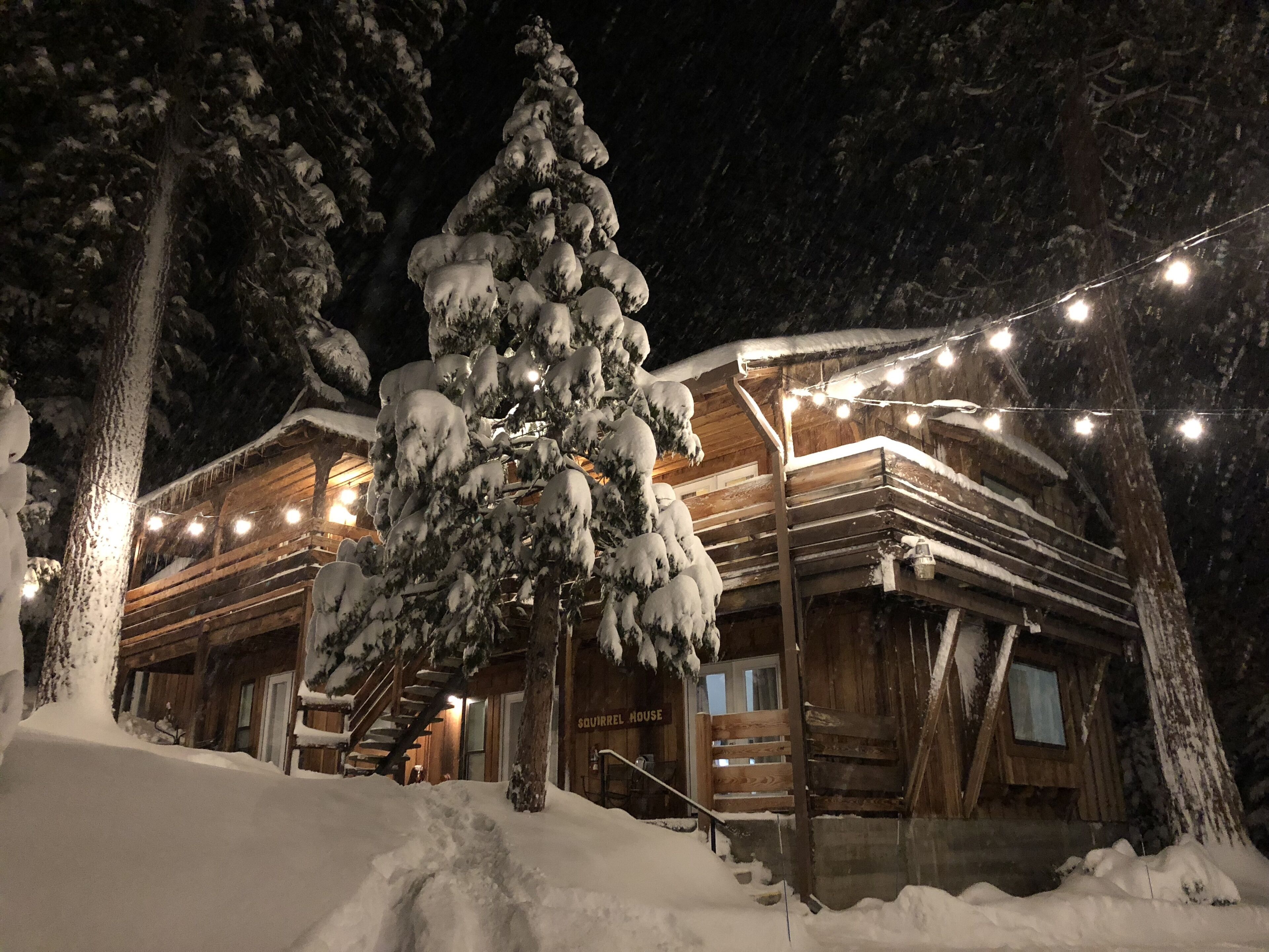 Premium bedding, free WiFi, bed sheets