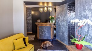 Un interior moderno con un sofá amarillo, un perro, un mostrador de recepción de madera e iluminación decorativa.