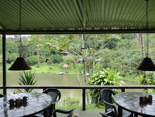 Breakfast and lunch served, international cuisine - Lucky Bug B & B (Arenal)