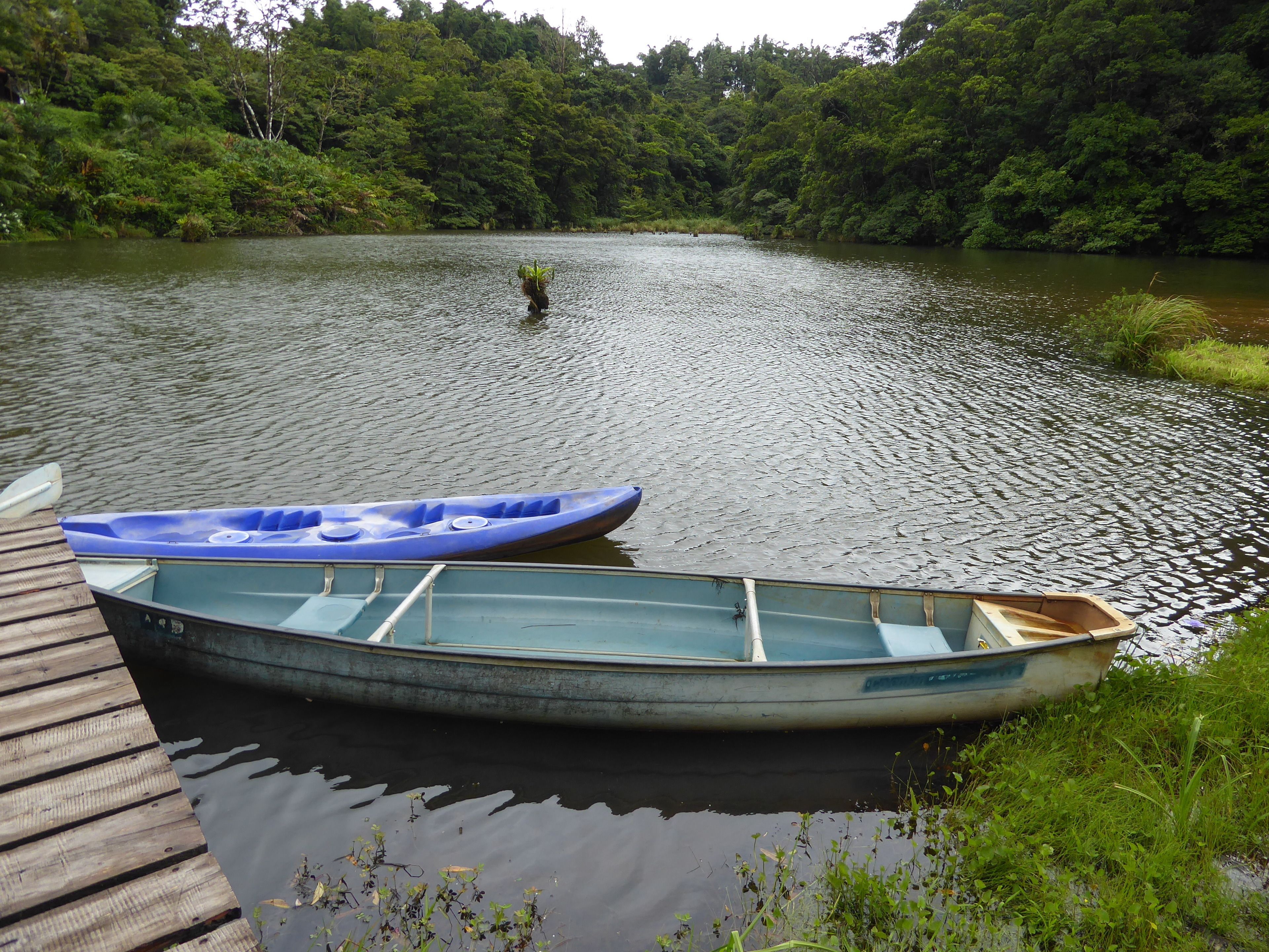 A calm river with a wooden dock and two boats, one blue and one white, docked at the edge.