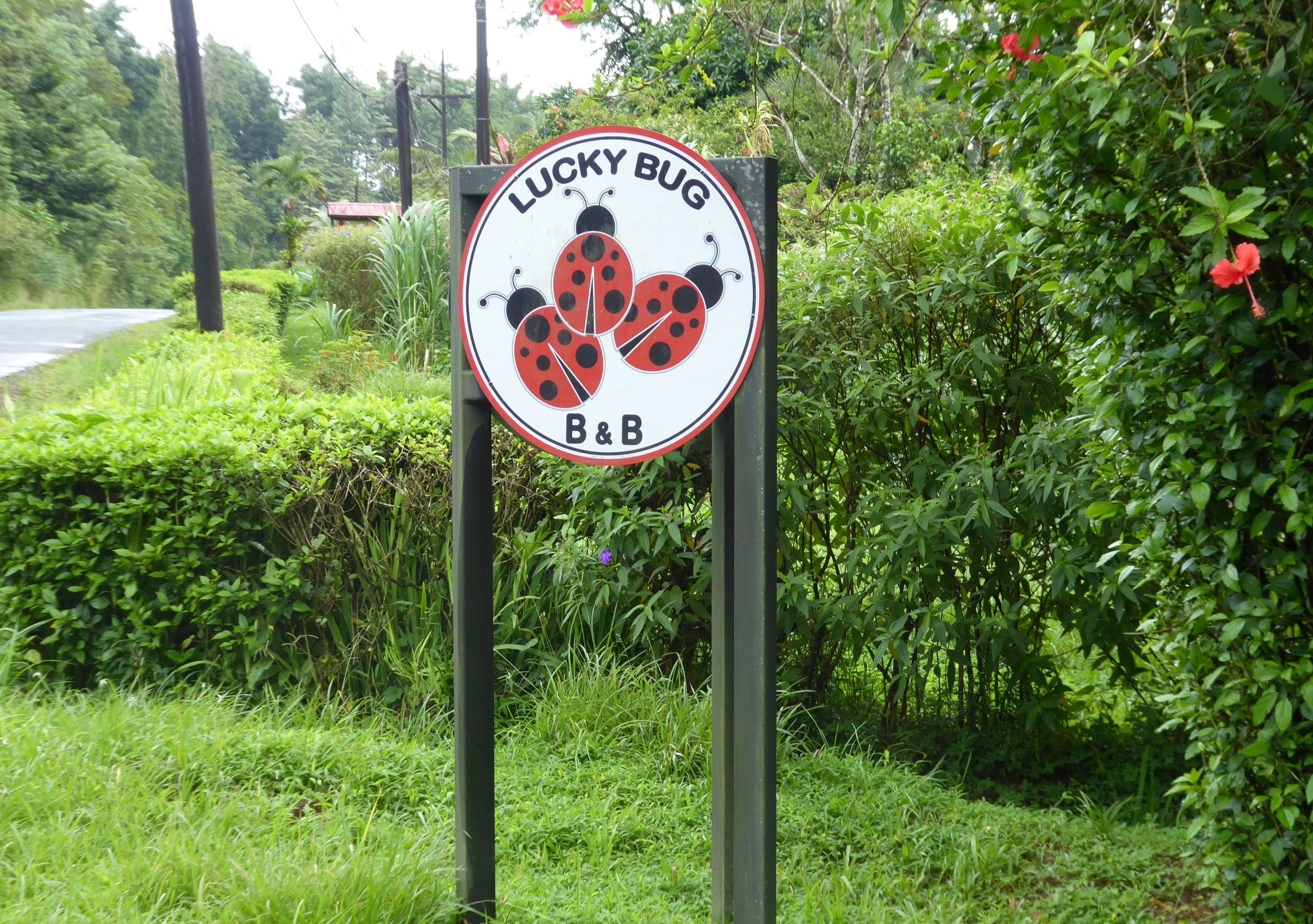A sign for 'Lucky Bug B&B' with a ladybug logo.