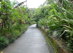 Property entrance - Lucky Bug B & B (Arenal)