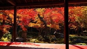 Un jardín japonés tradicional con una estructura de madera, faroles de piedra y follaje otoñal intenso.