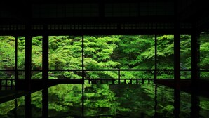 Habitación con amplios ventanales que dan a un bosque verde exuberante.