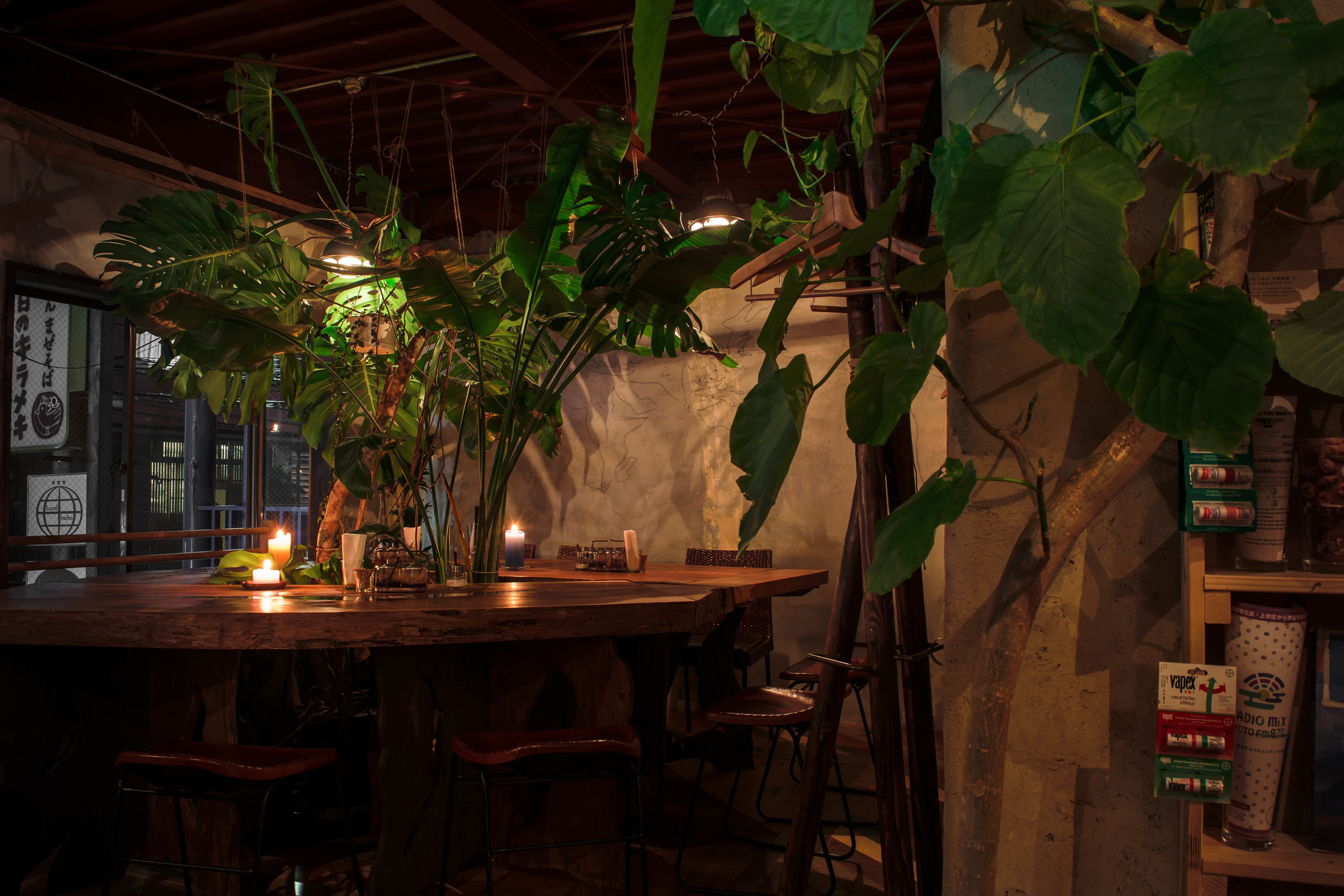 A dimly lit bar area with a wooden table, chairs, and hanging plants.