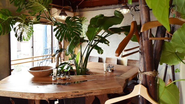 Una mesa de comedor de madera con un tazón y vasos, rodeada de grandes plantas verdes y sillas de madera.