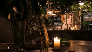 Zona de bar con poca luz, una vela, estantes llenos de botellas y plantas en macetas.