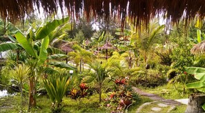 Property grounds - Adeng-Adeng Bungalows (Gili Meno)