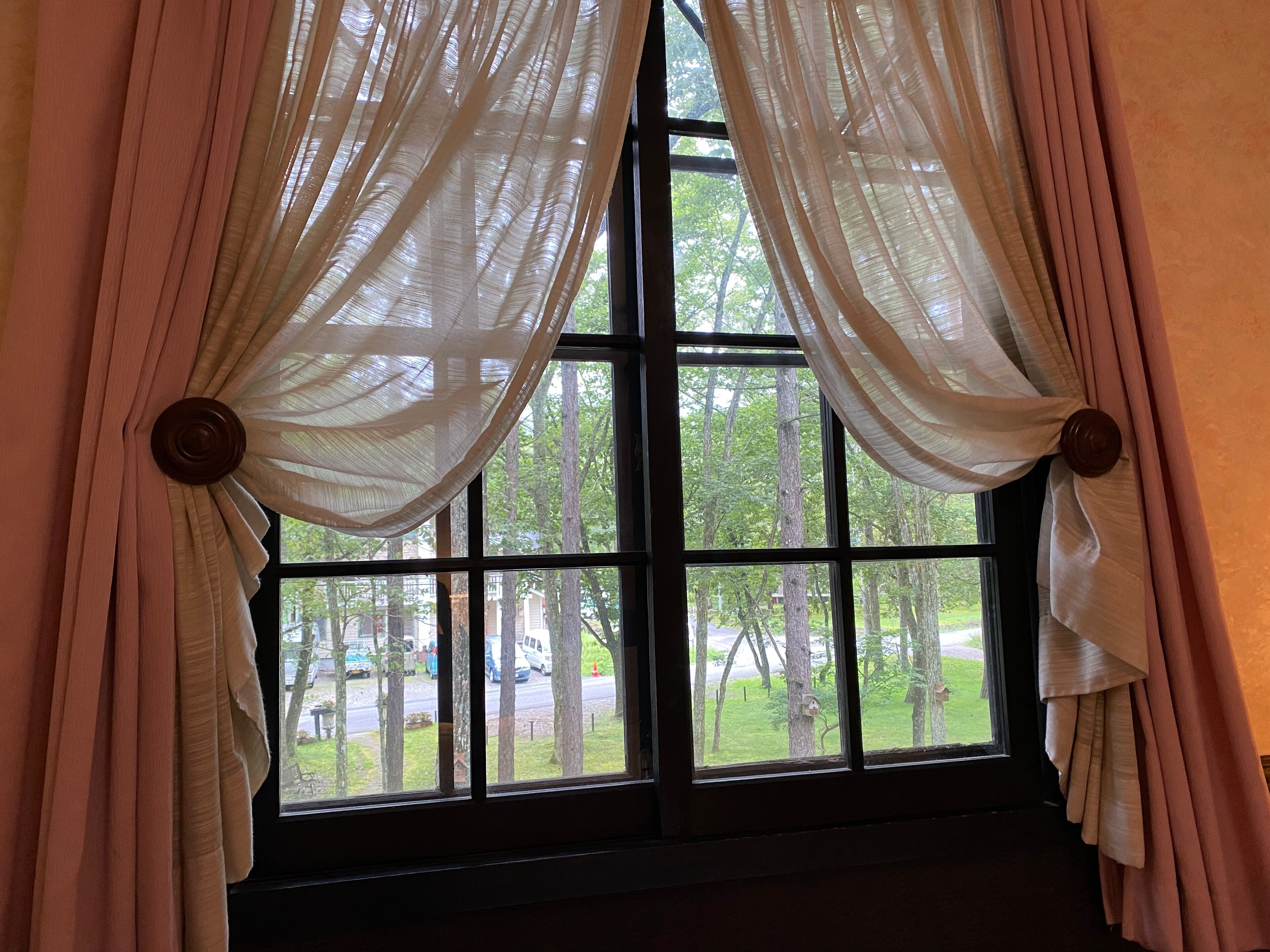 A window with sheer curtains and a view of a green landscape.