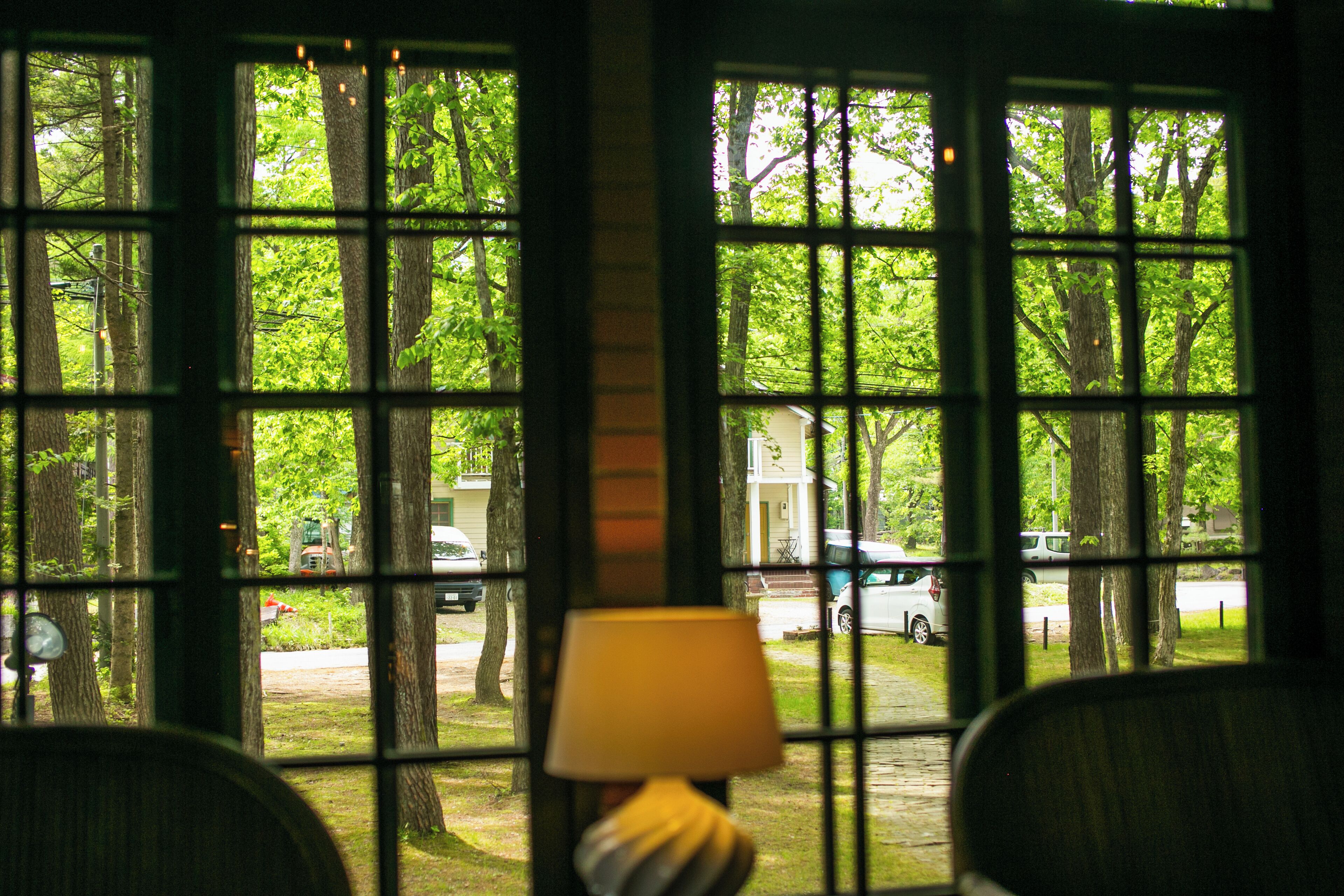 A room with large windows offering a view of a green, tree-lined street.