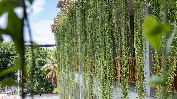 A building with a balcony covered in hanging vines, a staircase, and a view of a body of water. - Komodo Lodge (Labuan Bajo)