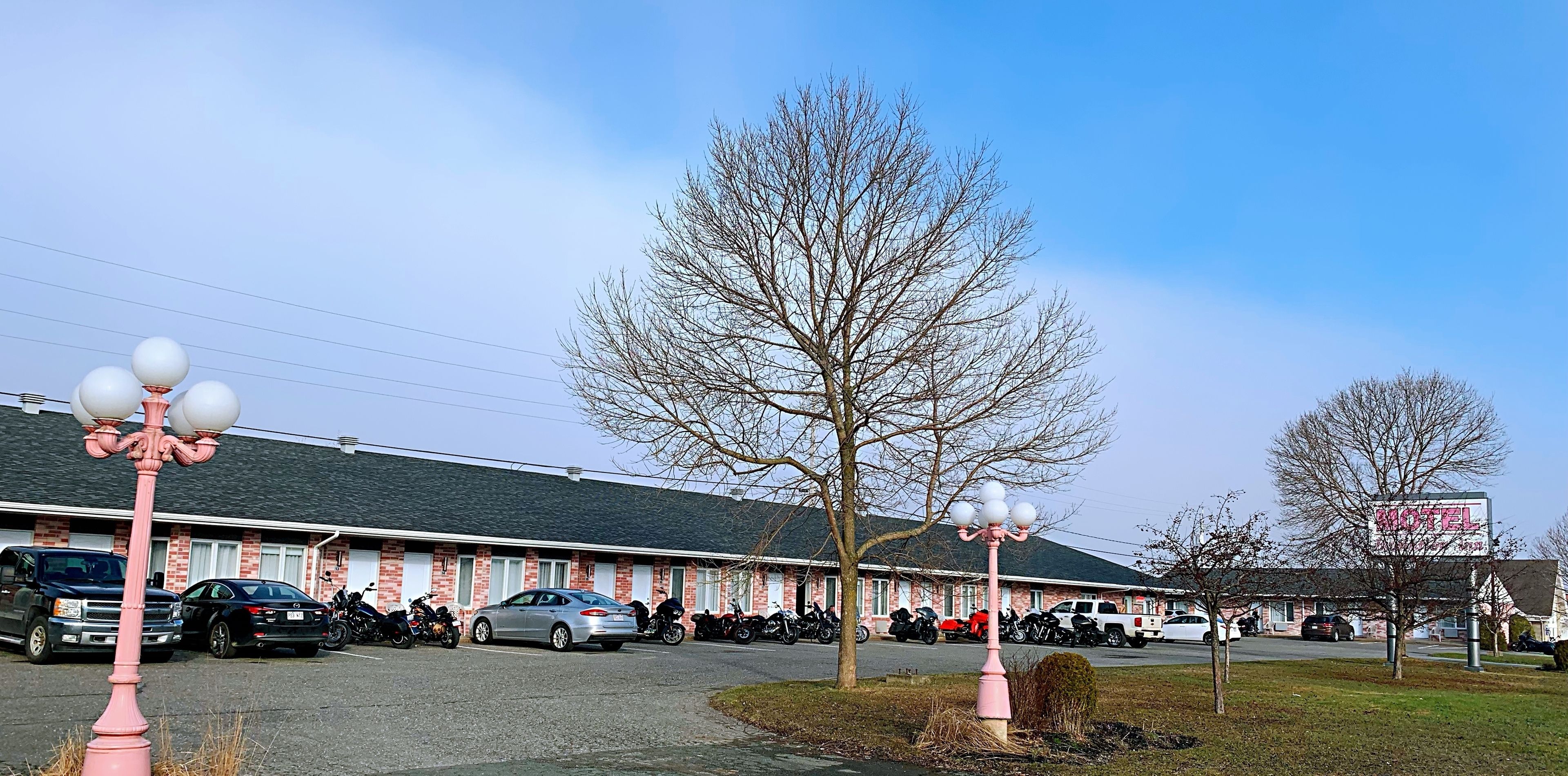 A motel with a brick facade, a parking lot with several cars and motorcycles, and a large tree in the foreground.