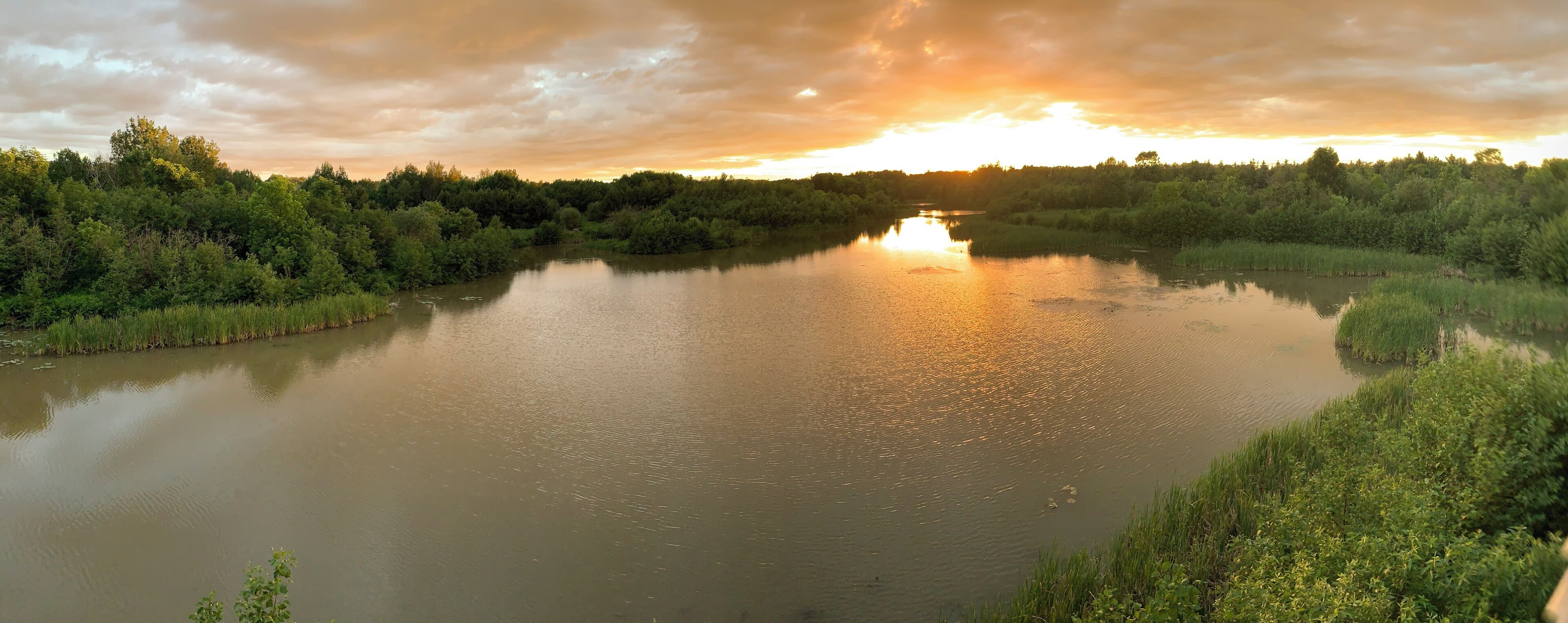 Un fiume circondato da una vegetazione rigogliosa, che riflette i raggi del sole al tramonto.