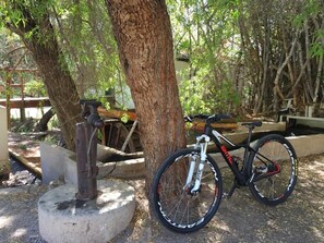 Bicycling
