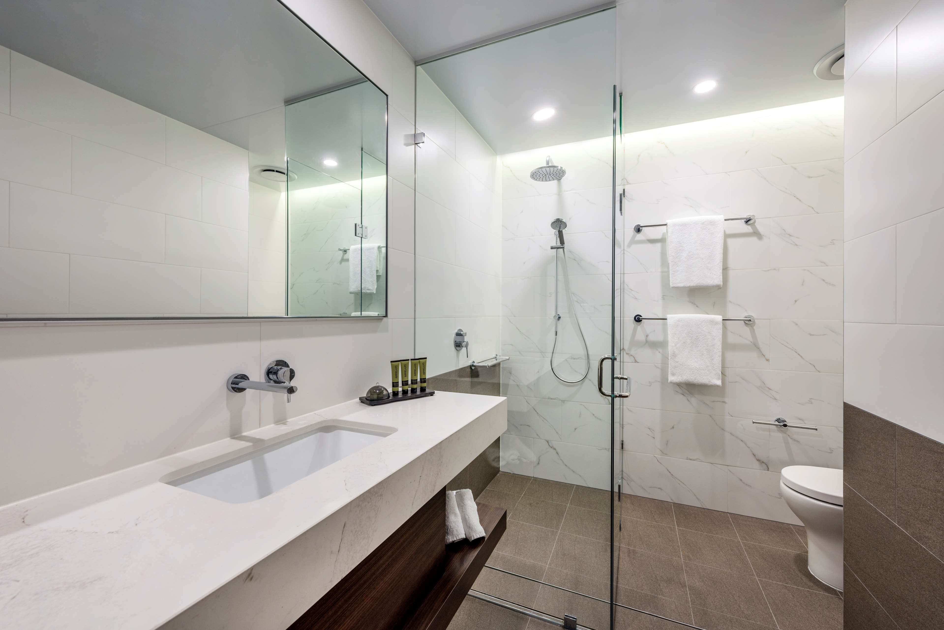 shower, free toiletries, hair dryer, towels