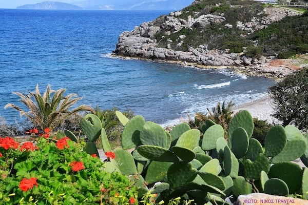 Utsikt fra overnattingsstedet