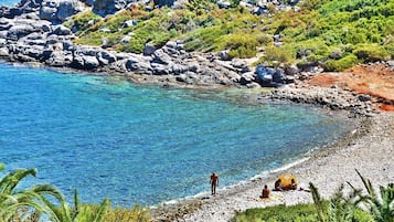 Vlak bij het strand