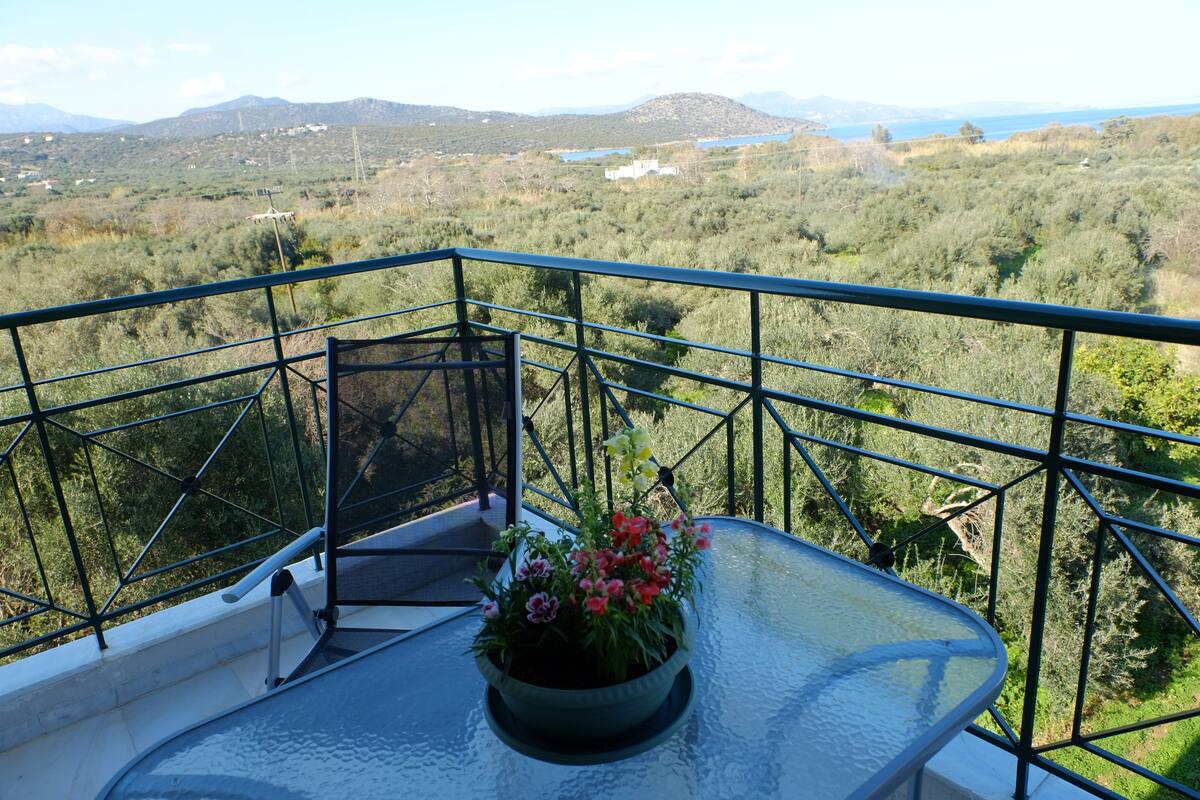 A balcony with a glass table, a potted plant with flowers, and a view of a mountainous landscape.
