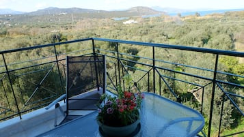 Apartamento, 1 habitación | Balcón