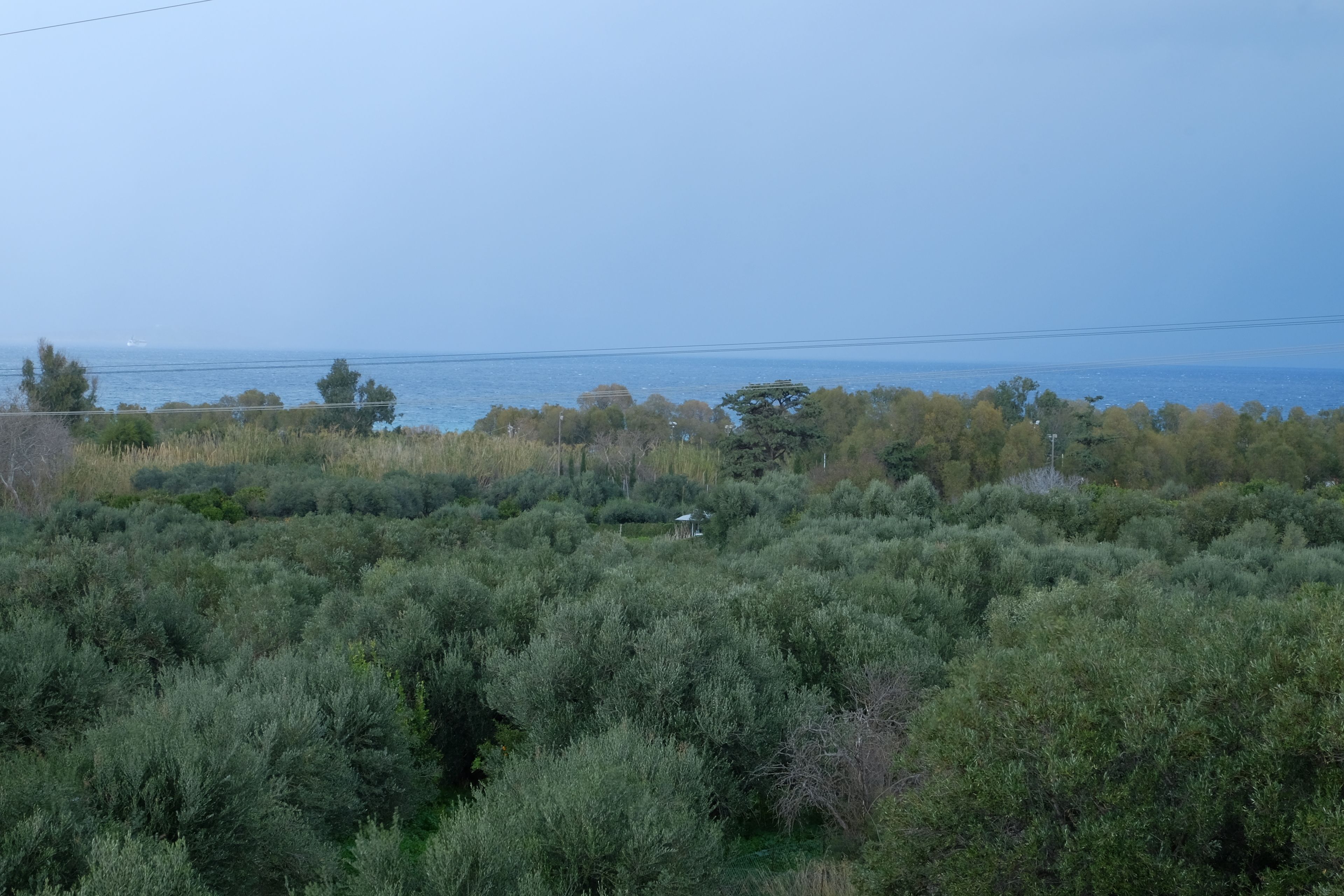 A coastal landscape with dense greenery and a view of the sea.