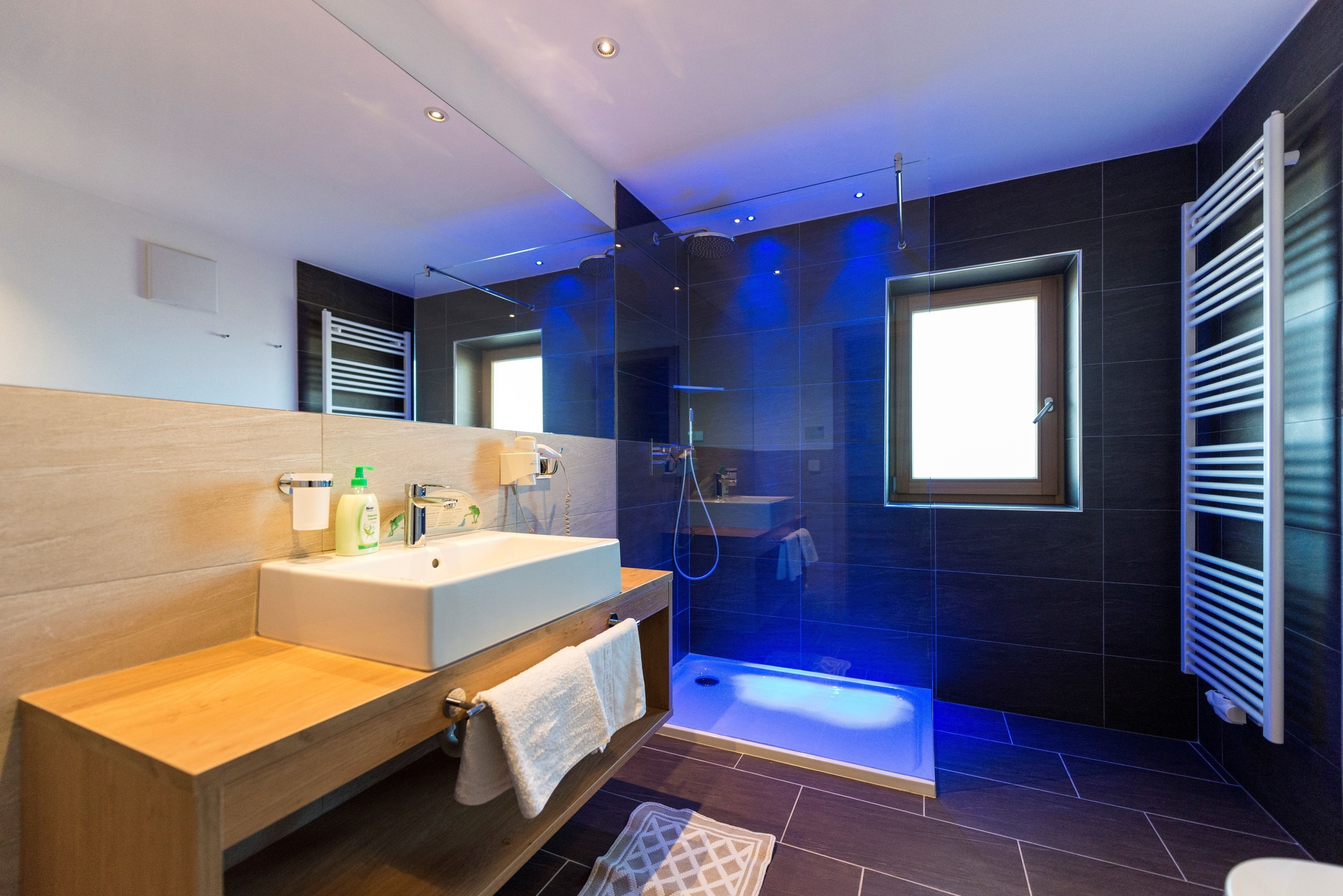 shower, free toiletries, hair dryer, bidet