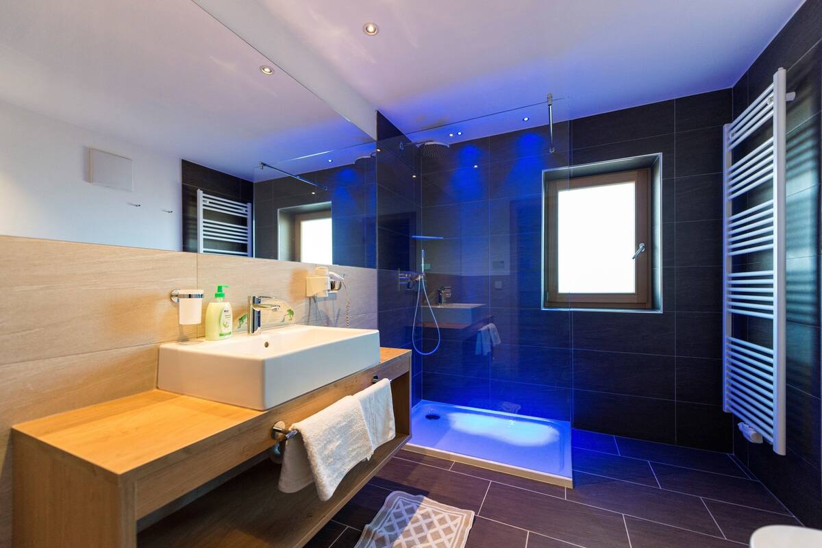 shower, free toiletries, hair dryer, bidet