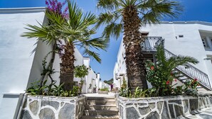 Una escalera de piedra que lleva a un edificio blanco con balcones, rodeado de palmeras y plantas.