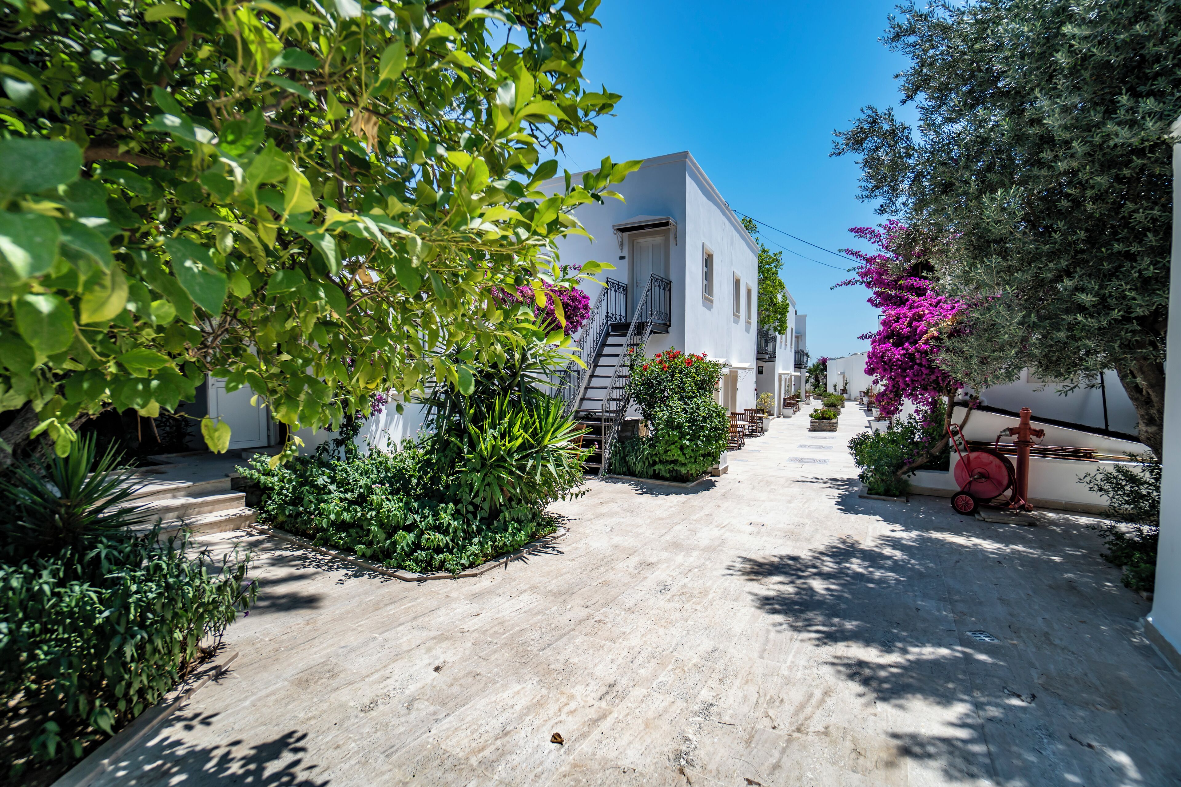 A narrow, paved pathway leading to a white building with a staircase.