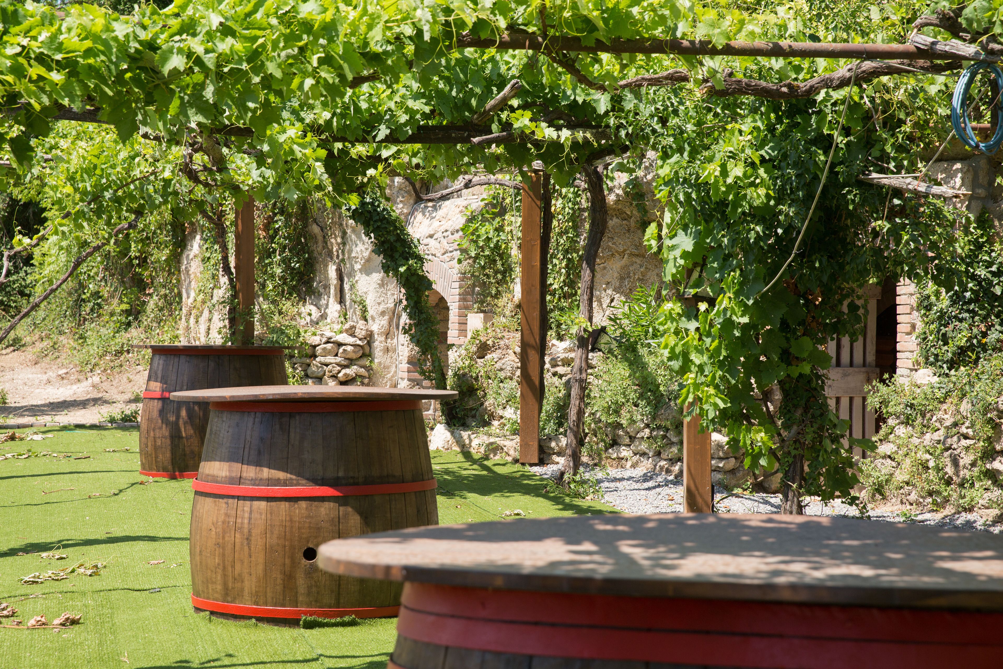 Servizio della struttura