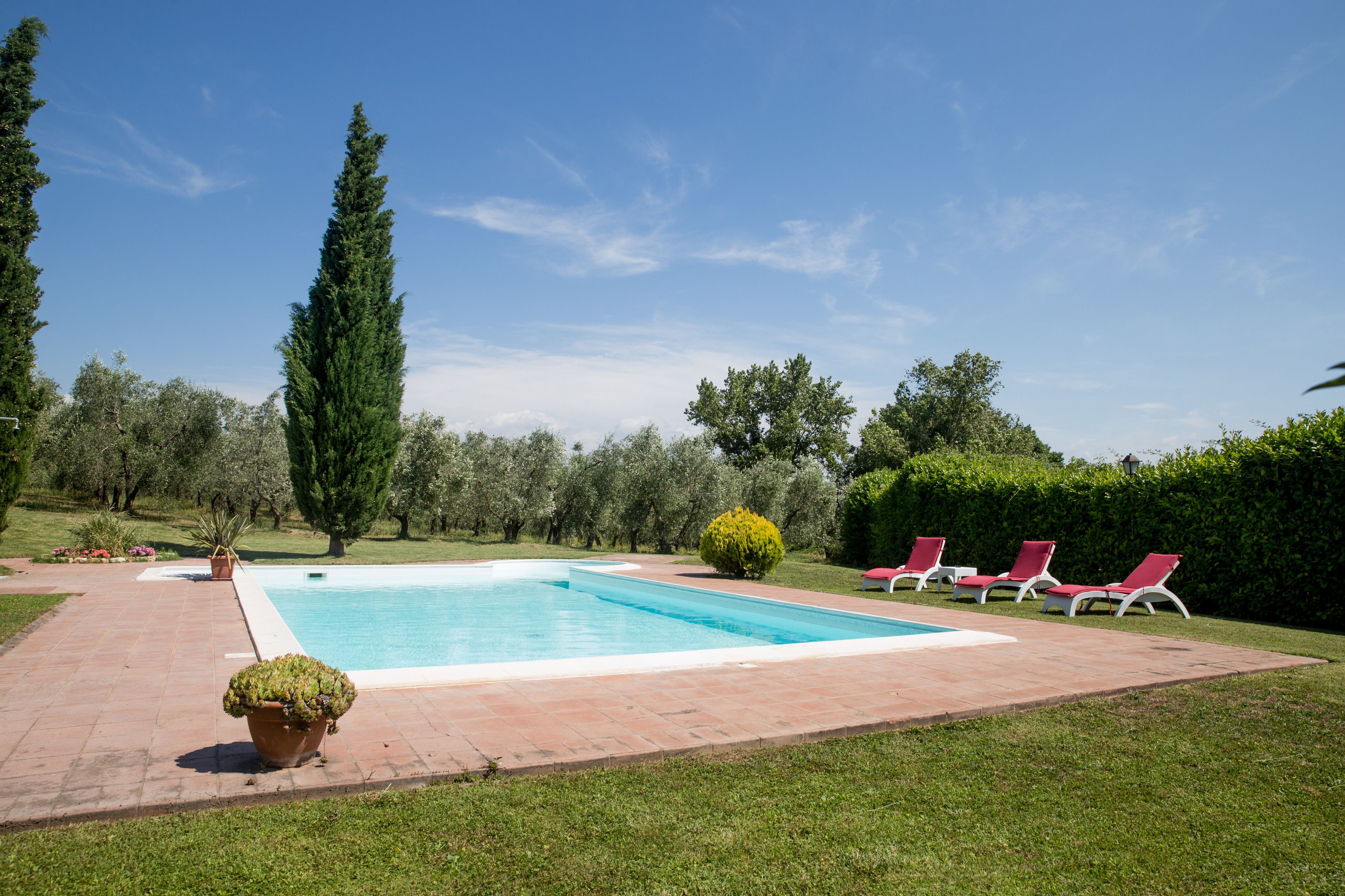 Outdoor pool, pool umbrellas, sun loungers