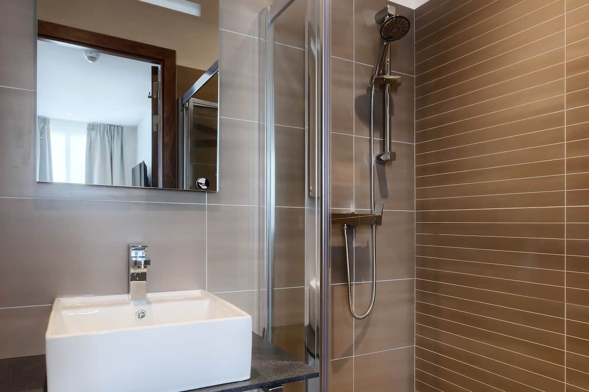 Deluxe Oda | Banyo | Duş, ücretsiz banyo/kozmetik ürünleri, saç kurutma makinesi, havlu