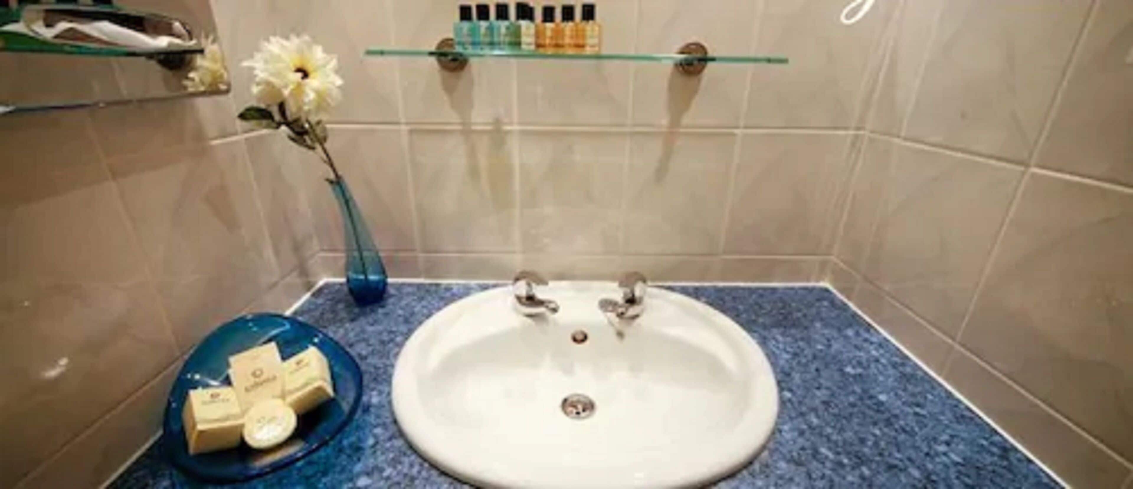 combined shower/bathtub, hair dryer, towels, toilet paper