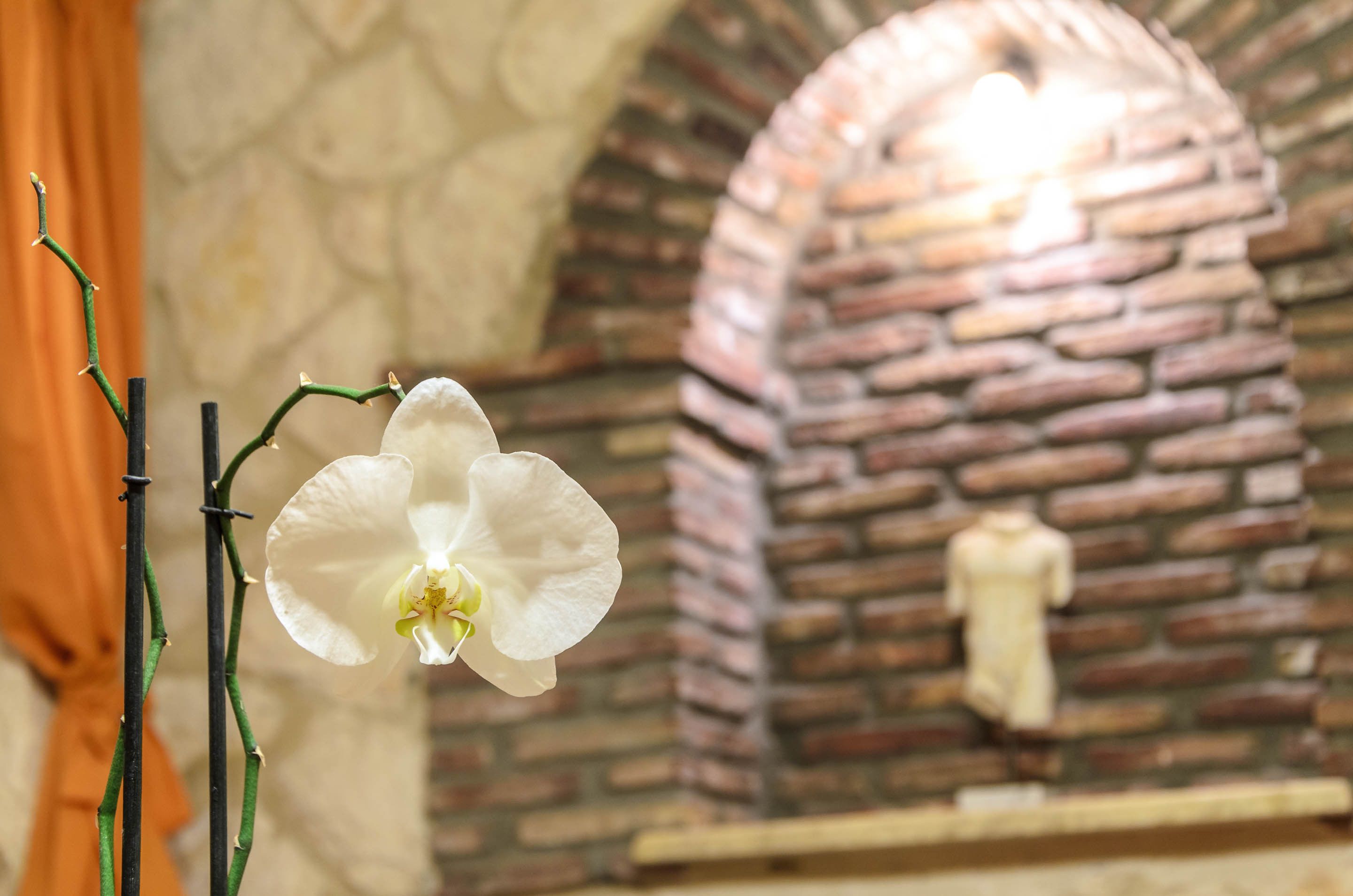 Foto - Parys Villas
