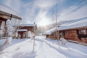 Honeymoon chalet, 1 slaapkamer, terras (private SPA) | Een kluis op de kamer, een bureau, verduisterende gordijnen