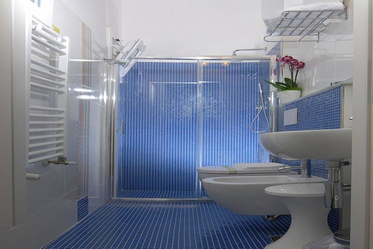 shower, free toiletries, hair dryer, bidet