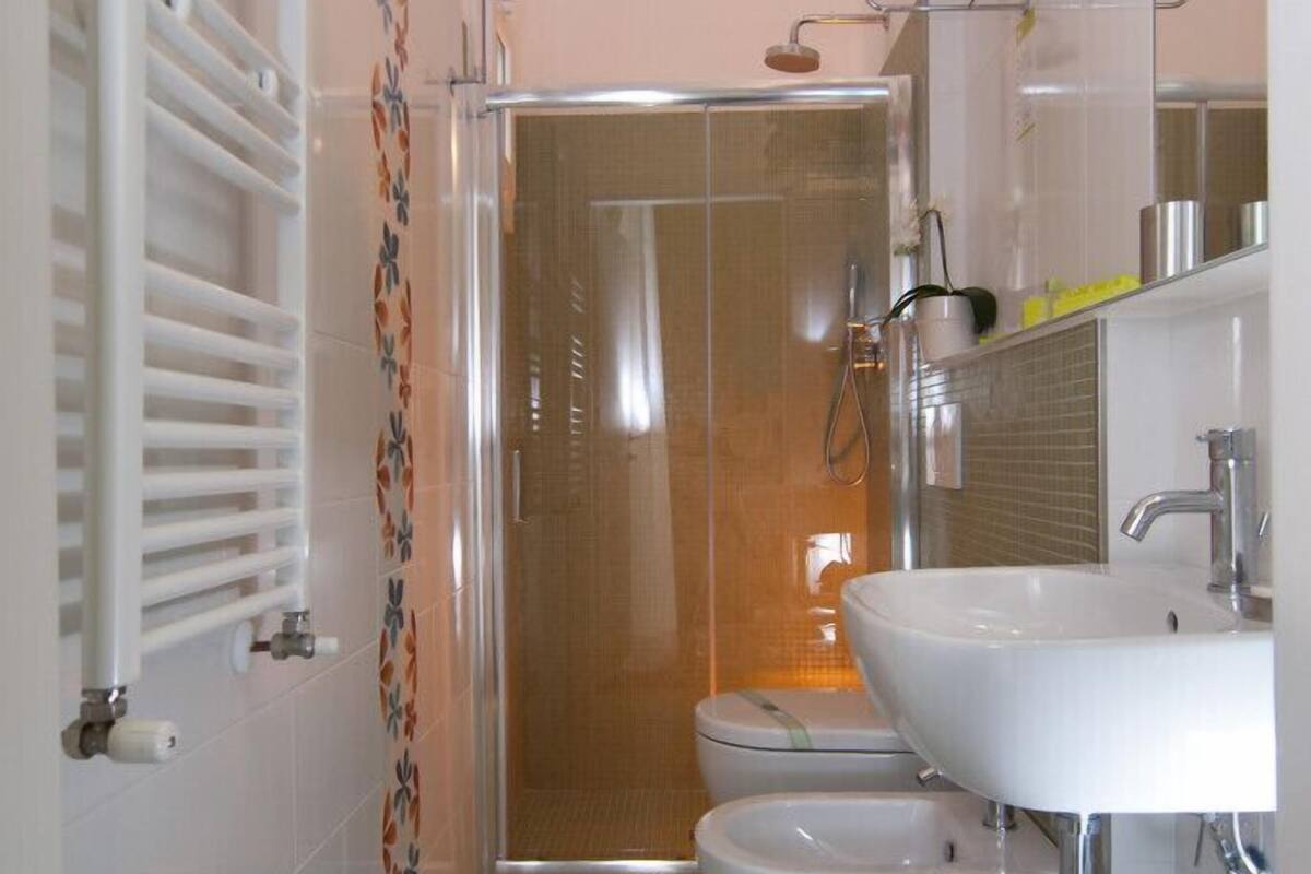 shower, free toiletries, hair dryer, bidet