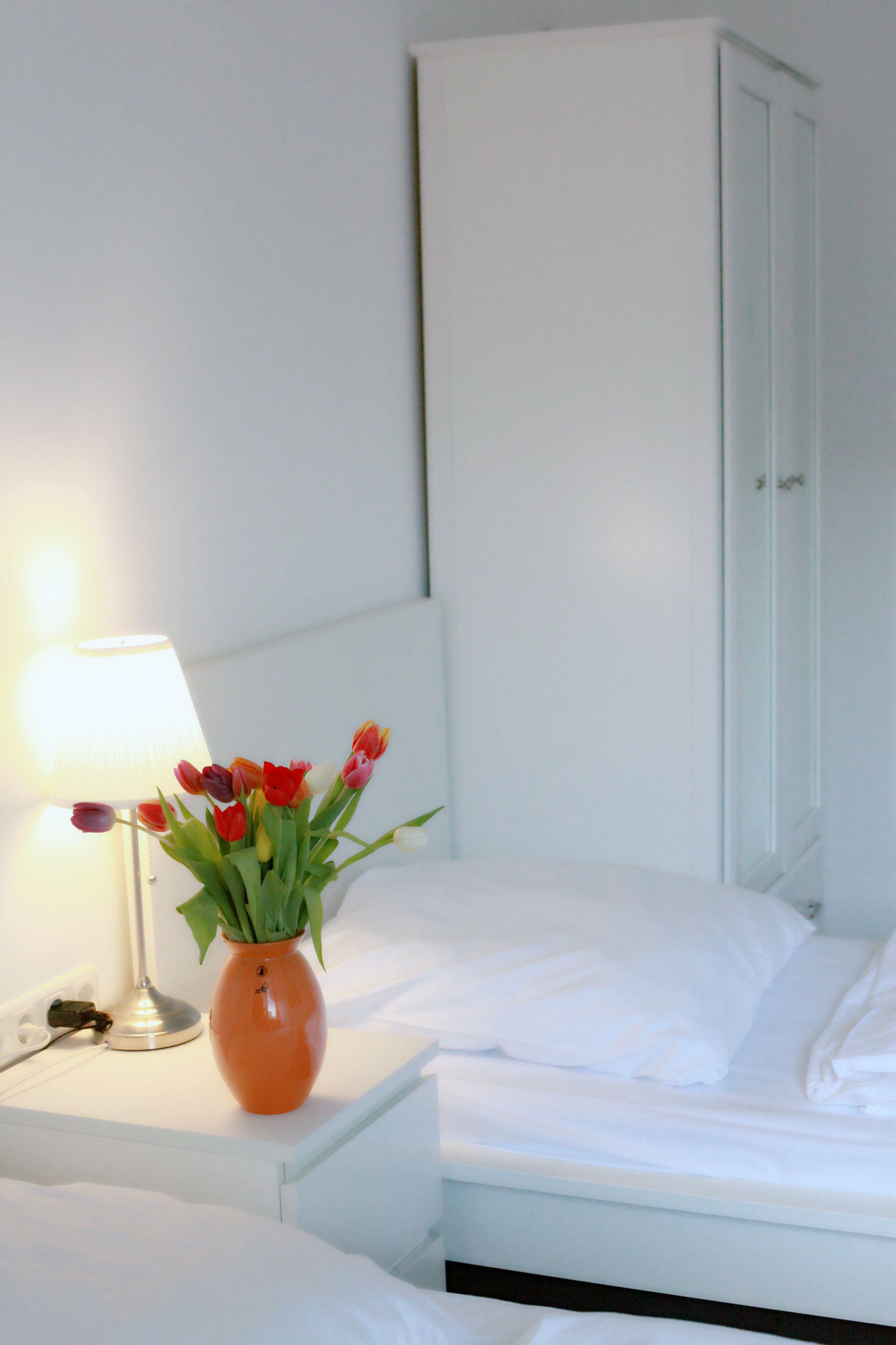 Photo - MAC City Hostel