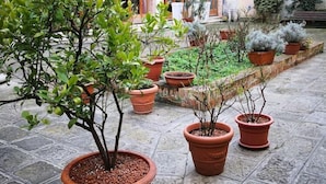 A courtyard with potted plants, a flag, and a building with arched windows. - Domus Ciliota (Venice)