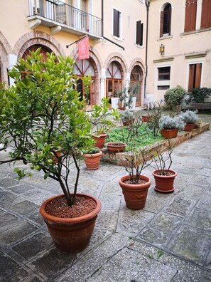 Property grounds - Domus Ciliota (Venice)