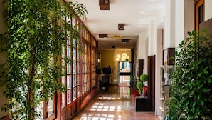 A hallway with large windows, potted plants, and a tiled floor. - Domus Ciliota (Venice)