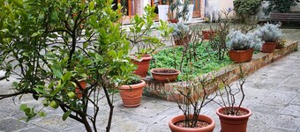 Domus Ciliota