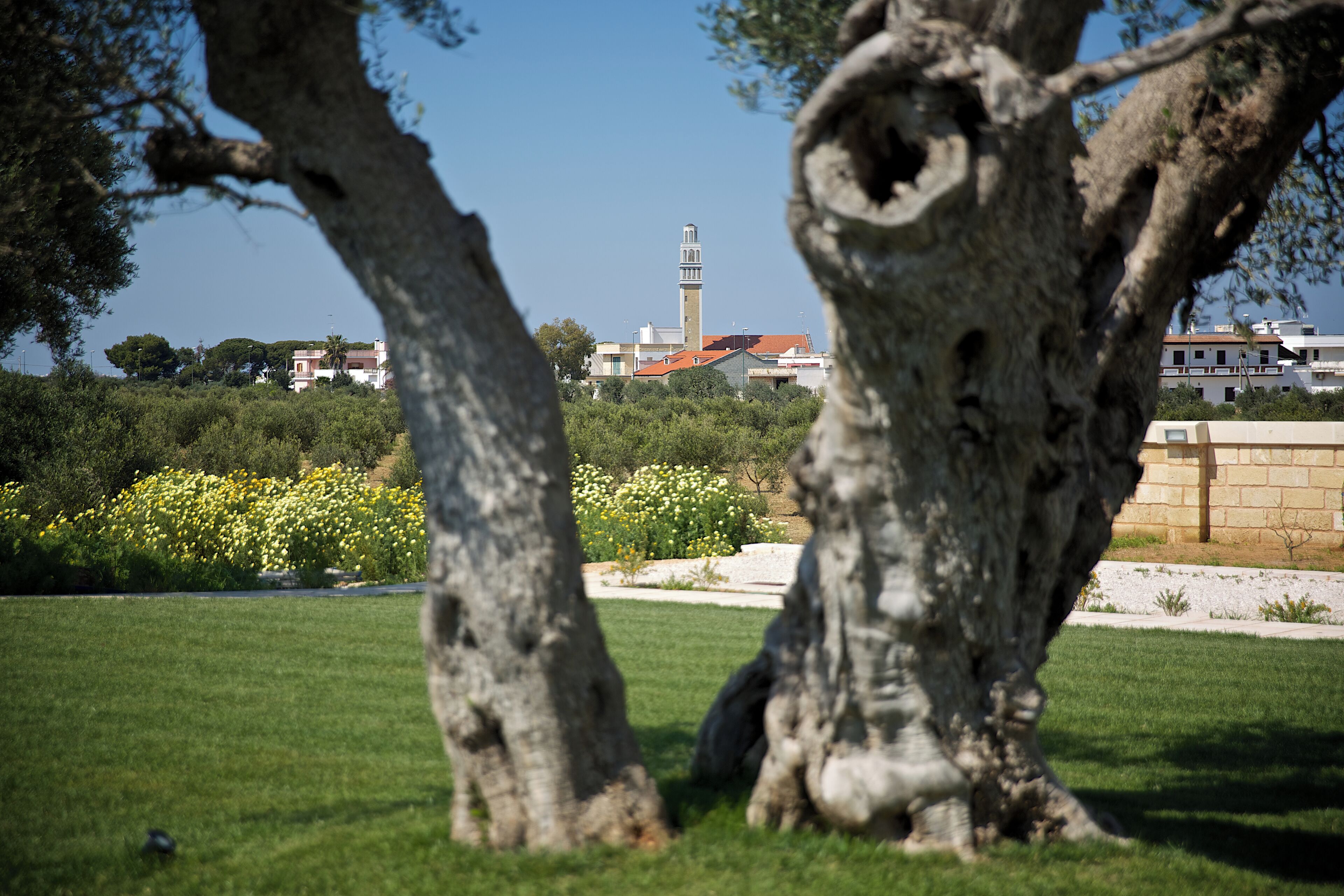 Vista de una mezquita con un minarete, rodeada de vegetación y edificios al fondo.