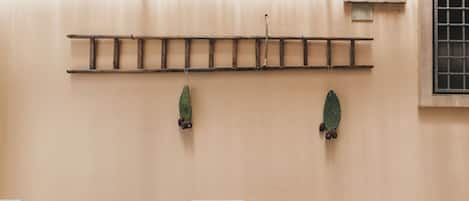 A room with a wooden ladder, two cactus plants, and a window with bars.