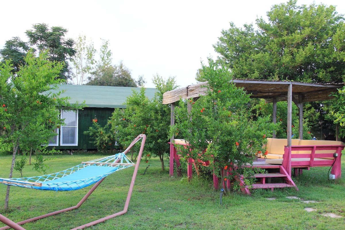 A hammock, a wooden bench, and a small pavilion in a garden with trees and a shed in the background.
