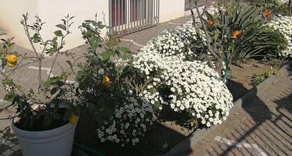 AreA DomuS
