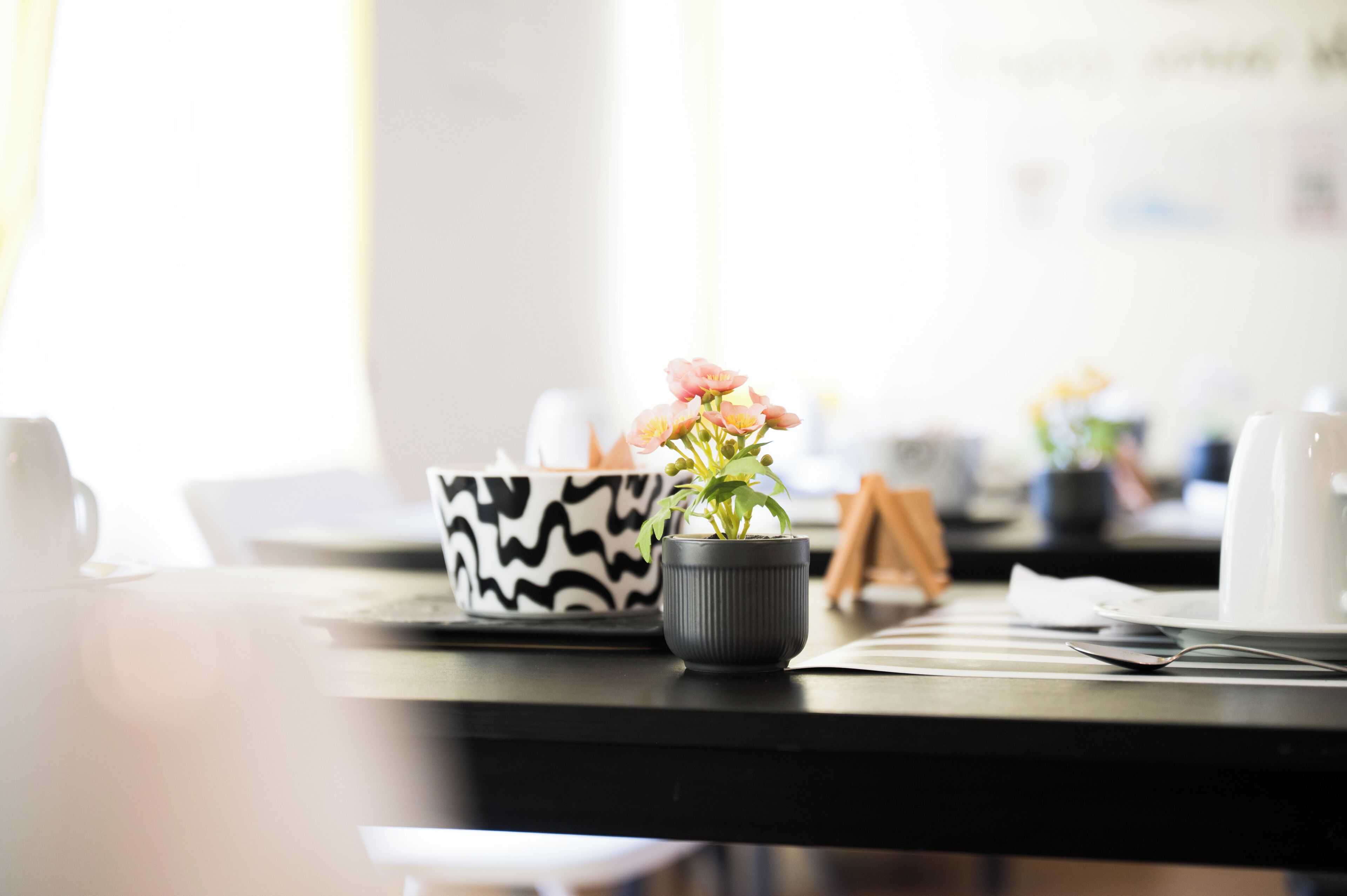 A table with a potted plant, a black and white bowl, and a white mug.