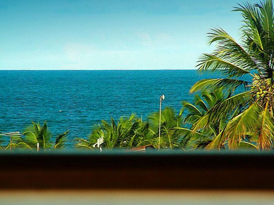 Vista da propriedade