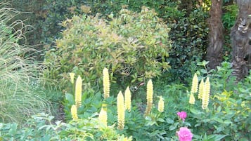 花園