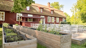 Serveert ontbijt, lunch, diner, Scandinavische gerechten 