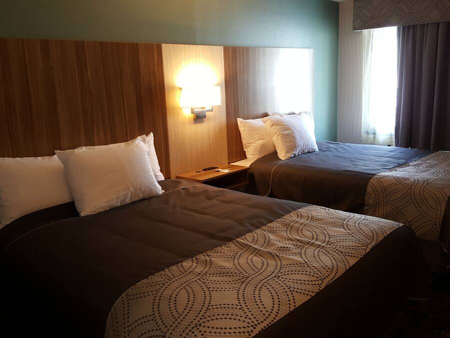 Ropa de cama de alta calidad, escritorio y cortinas blackout